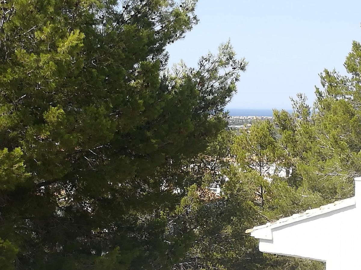 Buganvilla بيدريجوير المظهر الخارجي الصورة