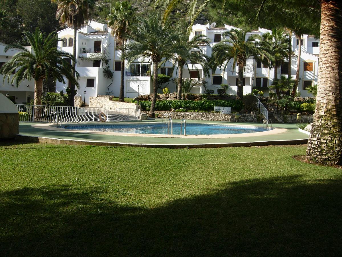Buganvilla بيدريجوير المظهر الخارجي الصورة
